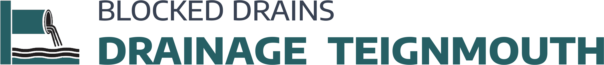 website logo